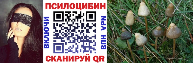 ОМГ ОМГ ТОР даркнет официальный сайт Галлюциногенные грибы MAGIC MUSHROOMS Дыгулыбгей